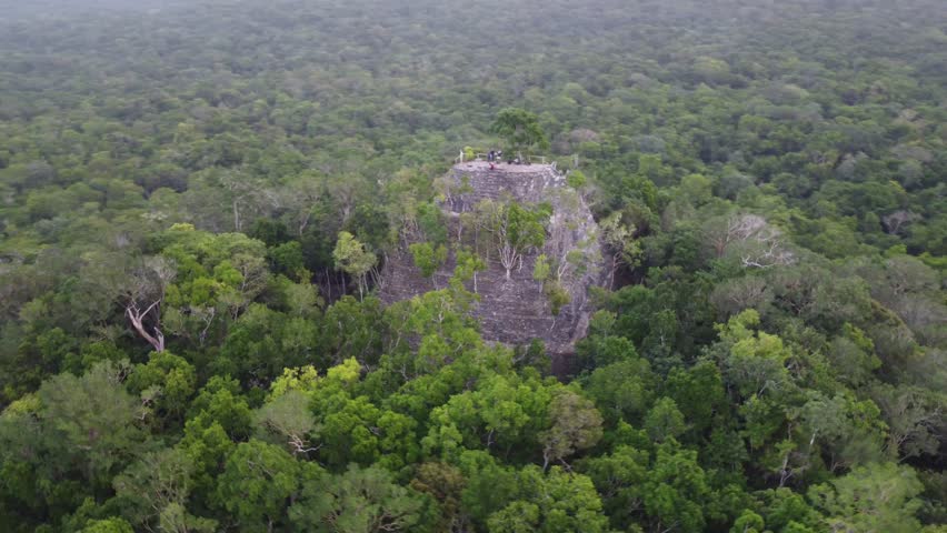 Hiking 5 days on a ancient mayan trek in the jungle of Guatemala. Found the lost city of "El Mirador" and the biggest pyramids in the world. Centuries of vegetation overgrew countless structures.