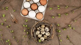 Greeting card with quail eggs in the nest, chicken eggs, twigs with green leaves and feathers on wooden background rotating. Happy Easter holiday. Christian celebration, traditions, flat lay top view