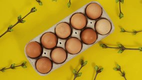 Chicken eggs in a tray rotate on yellow background with green spring branch. Concept of Happy Easter holiday. Easter eggs in egg carton box on yellow background, top view 