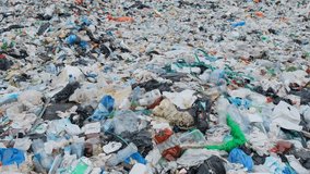 Contaminated beaches with plastic waste Cabrillo Beach in San Pedro, USA
