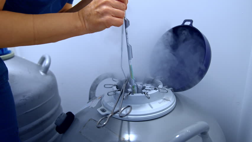 Female laboratory medic extracting the samples from the reservoir with liquid nitrogen. Equipment and materials for IVF. Royalty-Free Stock Footage #1100651803
