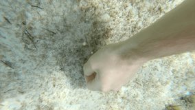 Underwater view of a male hand caressing the sand on the seabed gently.