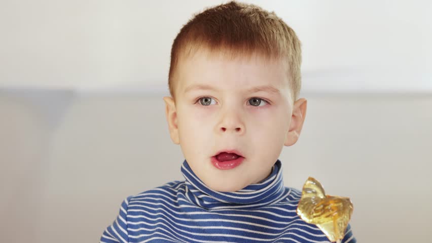 The boy eats a candy in the form of a cockerel on a light background