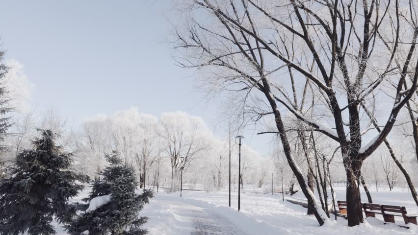 Snow-covered path in the city park with a pond Royalty-Free Stock Footage #1100657375