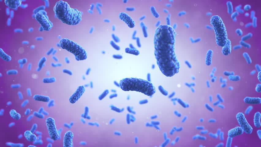 Bacteria Colony, Microbiome and Bacteria inside intestines. Microbes inside human gut. Gram positive bacteria, abstract probiotic bacteria such as lactobacillus, 3d animation. Royalty-Free Stock Footage #1100658025