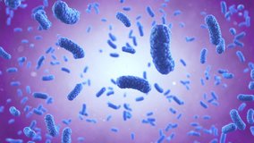 Bacteria Colony, Microbiome and Bacteria inside intestines. Microbes inside human gut. Gram positive bacteria, abstract probiotic bacteria such as lactobacillus, 3d animation.