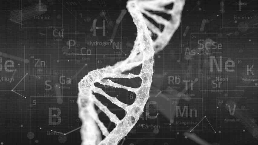Plexus dna code, DNA double helix. 3D animation of DNA nucleotide molecules. background for science, biotechnology or genetics. Human DNA spiral. 3D rendering. Blue version. | Shutterstock HD Video #1100658453