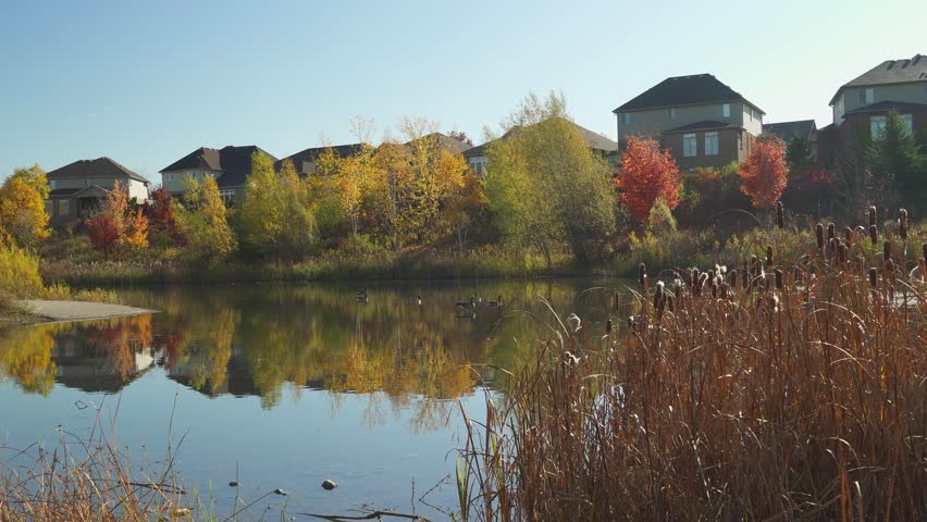 Raindrops in the forest urge a man on and he hurries home from a walk through the autumn forest