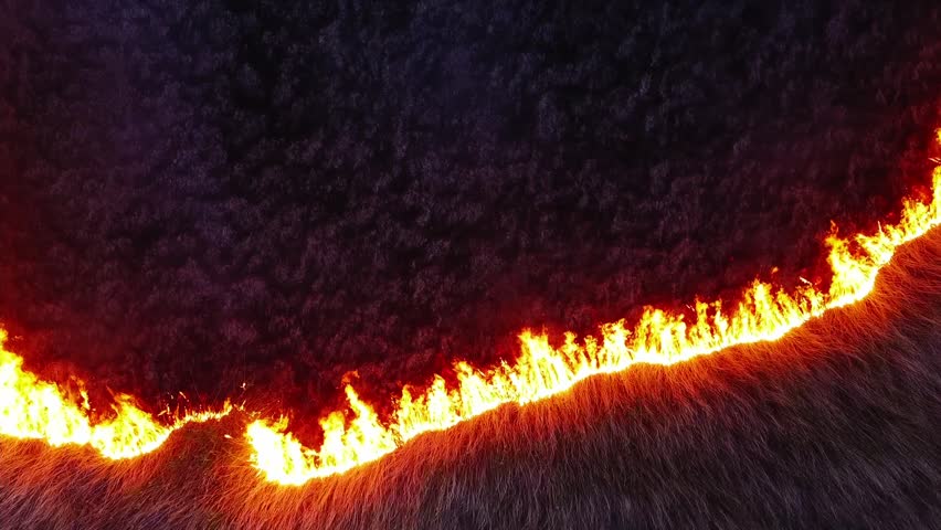 dry grass burning aerial video. fast-moving grass fires. Australia's hot, arid climate and wind-driven bushfires. climate change, heatwaves and droughts. Royalty-Free Stock Footage #1100663417