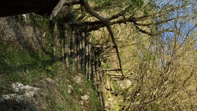 Vertical video, back view. Unrecognizable blonde young woman in lether jacket ascends old rural staircase in forest. Motsameta, Georgia. 4k footage