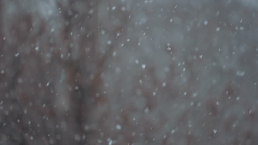 Snowfall in slow motion, snow flakes, snow falling slowly Royalty-Free Stock Footage #1100666583