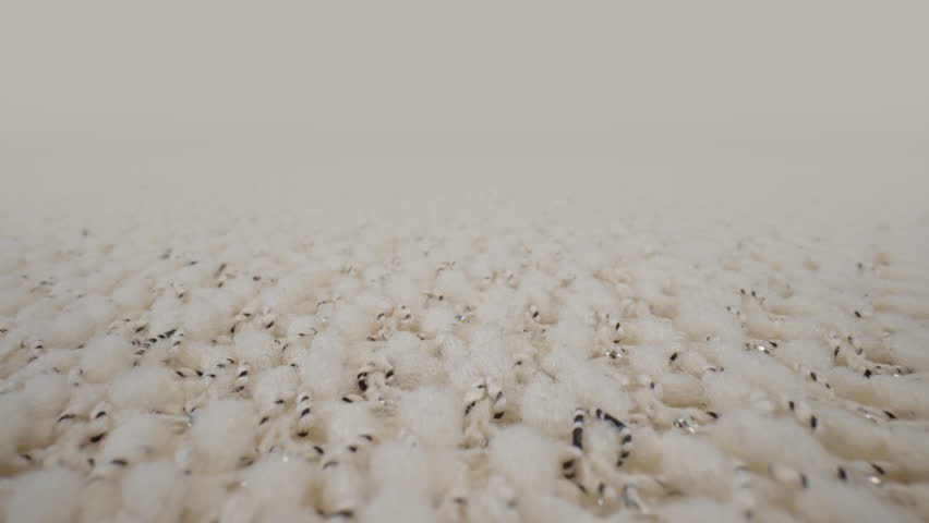 Macro shot of patterned wool fabric. Slider dolly close-up plaid, scarf or sweater knitted textile beige color texture with silver threads. Laowa probe lens camera glides over detailed knit material | Shutterstock HD Video #1100667231