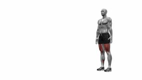 lunge pulses bodyweight fitness exercise workout animation male muscle highlight demonstration at 4K resolution 60 fps crisp quality for websites, apps, blogs, social media etc.
