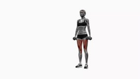Dumbbell reverse lunges pulses fitness exercise workout animation female muscle highlight demonstration at 4K resolution 60 fps crisp quality for websites, apps, blogs, social media etc.