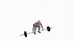 Barbell clean and jerk split squat powerlifting fitness exercise workout animation male muscle highlight demonstration at 4K resolution 60 fps crisp quality for websites, apps, blogs, social media etc