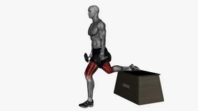 dumbbell bulgarian box split squat fitness exercise workout animation male muscle highlight demonstration at 4K resolution 60 fps crisp quality for websites, apps, blogs, social media etc.