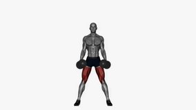 front squats dumbbell low fitness exercise workout animation male muscle highlight demonstration at 4K resolution 60 fps crisp quality for websites, apps, blogs, social media etc.