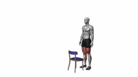 step up on chair bodyweight fitness exercise workout animation male muscle highlight demonstration at 4K resolution 60 fps crisp quality for websites, apps, blogs, social media etc.