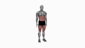 Bodyweight Squat to Side Leg fitness exercise workout animation male muscle highlight demonstration at 4K resolution 60 fps crisp quality for websites, apps, blogs, social media etc.
