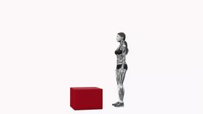 box jump fitness exercise workout animation female muscle highlight demonstration at 4K resolution 60 fps crisp quality for websites, apps, blogs, social media etc.