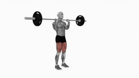 barbell front chest lunges fitness exercise workout animation male muscle highlight demonstration at 4K resolution 60 fps crisp quality for websites, apps, blogs, social media etc.