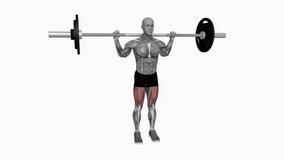 Barbell curtsy lunges fitness exercise workout animation male muscle highlight demonstration at 4K resolution 60 fps crisp quality for websites, apps, blogs, social media etc.