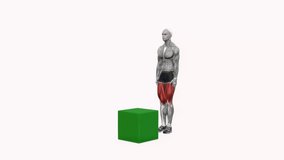 box jump squats fitness exercise workout animation male muscle highlight demonstration at 4K resolution 60 fps crisp quality for websites, apps, blogs, social media etc.