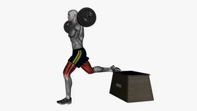 barbell bulgarian split squat left side view fitness exercise workout animation male muscle highlight demonstration at 4K resolution 60 fps crisp quality for websites, apps, blogs, social media etc.