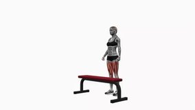 bench alternating step ups fitness exercise workout animation female muscle highlight demonstration at 4K resolution 60 fps crisp quality for websites, apps, blogs, social media etc.