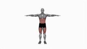 Diagonal Lunge fitness exercise workout animation male muscle highlight demonstration at 4K resolution 60 fps crisp quality for websites, apps, blogs, social media etc.