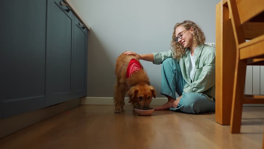 Friendly curly haired woman stroking and watching a dog eat in the kitchen at home Royalty-Free Stock Footage #1100683825