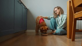 Friendly curly haired woman stroking and watching a dog eat in the kitchen at home - Powered by Shutterstock - Get 15% off with code: PIKWIZARD15