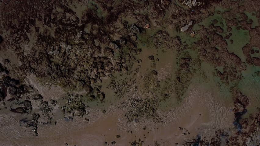 Aerial view of the sea coast. Beautiful unusual colors and shapes. Alien landscape from a bird