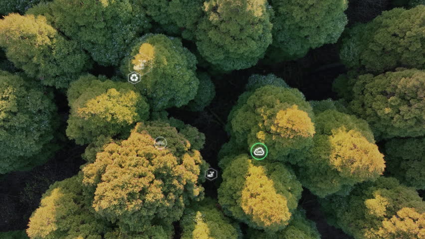 Save the planet earth day low CO2 emission. Aerial forest tree nature view with big data global care go green growth hope future. Net zero waste in ESG ethical business reduce pollution greenhouse gas | Shutterstock HD Video #1100691403