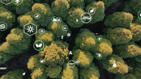 Save the planet earth day low CO2 emission. Aerial forest tree nature view with big data global care go green growth hope future. Net zero waste in ESG ethical business reduce pollution greenhouse gas - Powered by Shutterstock - Get 15% off with code: PIKWIZARD15