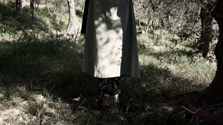 Monk hanging from a tree
