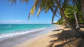 Seamless loop of sea waves on golden Hawaiian sand beach. Palm trees, blue sea and pure natural landscape. Walk along the tropical exotic sandy beach. Paradise beach on an island in the ocean.