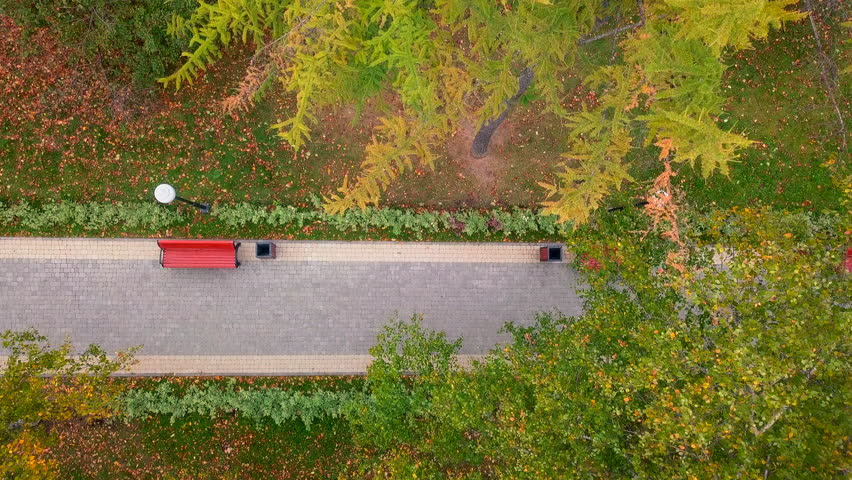 Park path with benches and passing person. Clip. Top view of beautiful green park with path and walking man. Walk in new green park