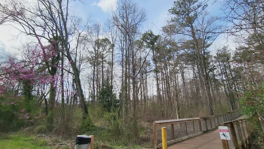Point of view footage along a footpath to a wooden bridge surrounded by bare winter trees and lush green grass and plants with blue sky and clouds at Rhodes Jordan Park in Lawrenceville Georgia USA