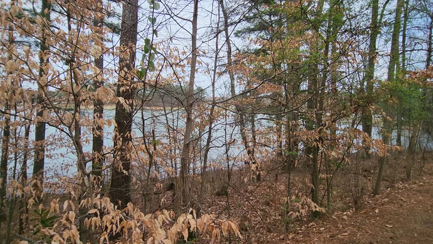 panning footage of a gorgeous winter landscape on the lake with brown and green trees, rippling blue water, a gorgeous blue sky and clouds at Rhodes Jordan Park in Lawrenceville Georgia USA