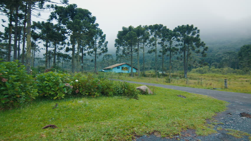 Fisherwoman walks in the rural area. Woman angler in casual fishing clothes walking outdoor with fishing rod