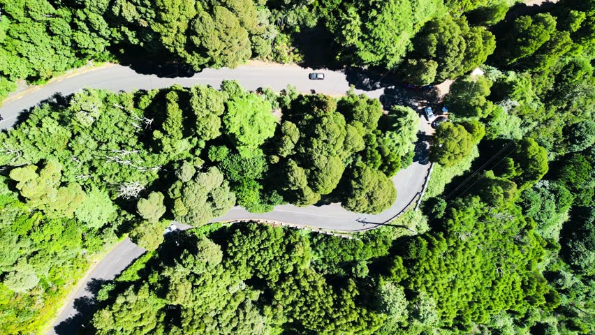 Downward aerial view of a beautful windy road across a forest