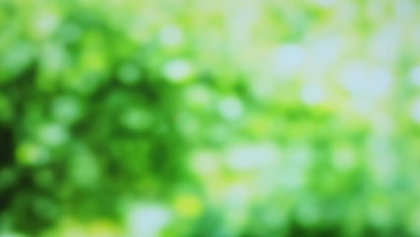 Close Up Of Black Dirt Mud With A Tree Sprout On Farmer