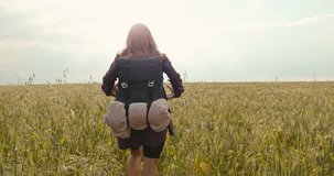 A woman with a backpack on her shoulders walks through a beautiful summer field. Lifestyle video of a person alone with nature. The girl wanders alone. High quality 4k footage