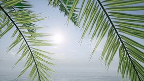 Experience the Beauty of a Bright Sunny Day at the Beach with a Stunning View of the Sky and Palm Leaves: A Captivating Video
