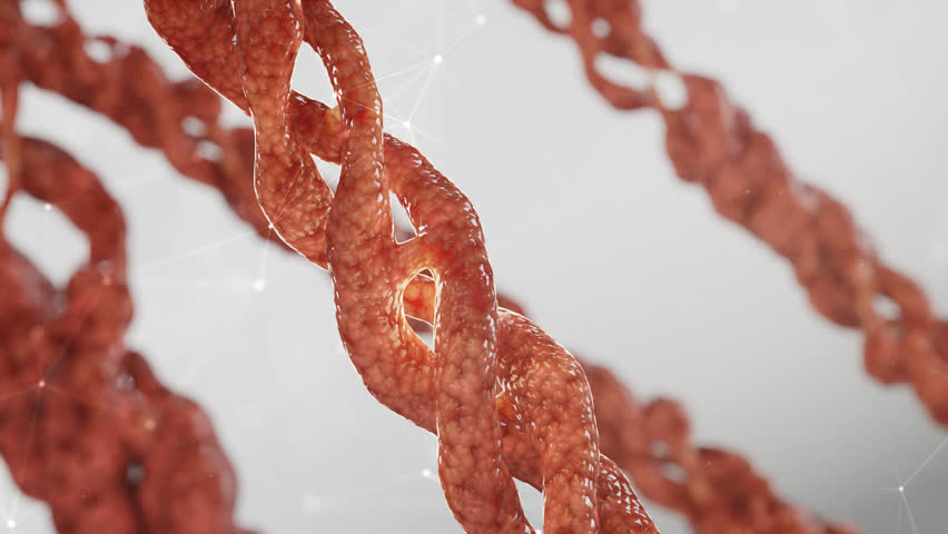 Triple helix collagen molecule, Collagen is the main component of connective tissue, 3D illustration. Royalty-Free Stock Footage #1100749585