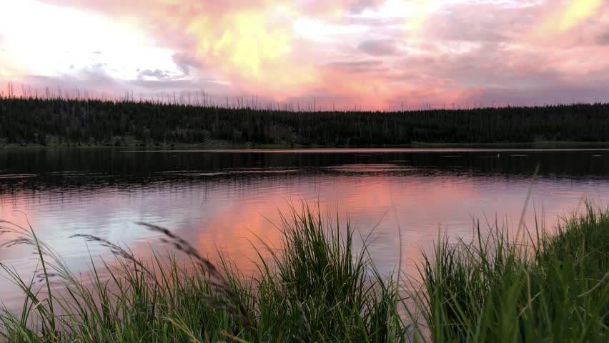 calm lake lawn sunset time
