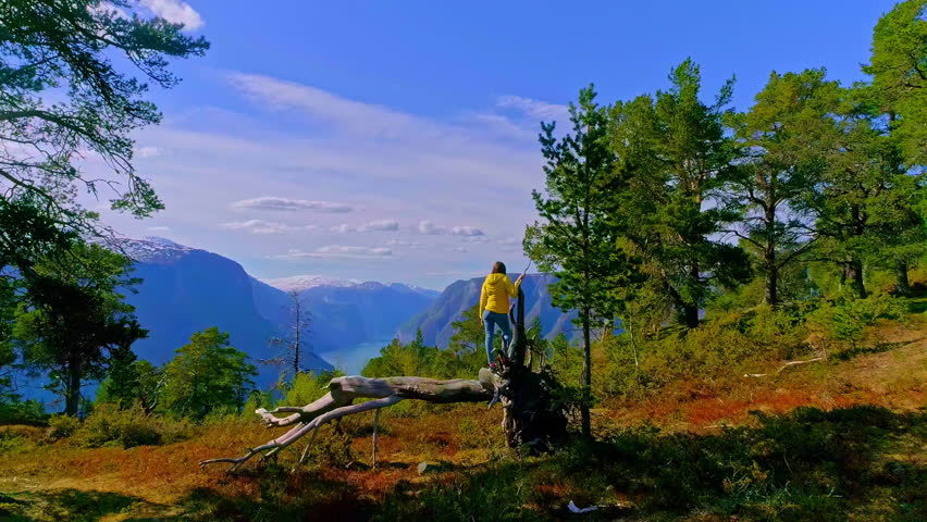 Beautiful, young woman overlooking a fjord in Norway - aerial of stunning landscape