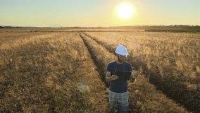 Agritech food production engineer analyzing wheat at a farmland field - 3D render - Powered by Shutterstock - Get 15% off with code: PIKWIZARD15