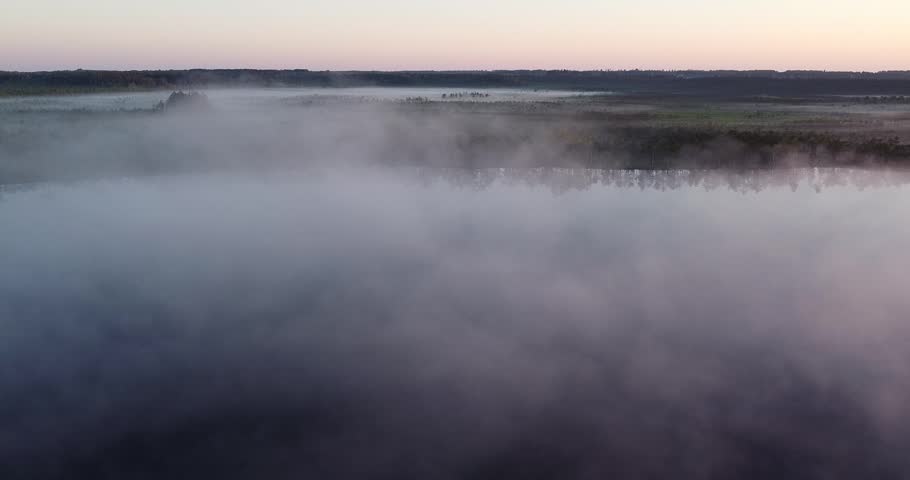 Beautiful view through bog trees during sunrise. Early summer morning with sunrise and birch trees. Sun shining through trees with sunbeams through woods in mystical bog swamp landscape.